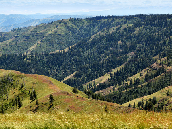 Nez Perce Lands